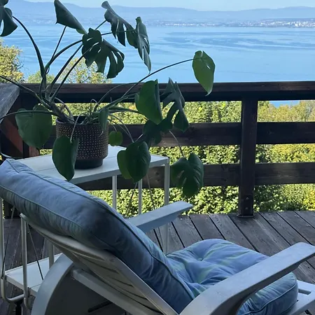 Large Overlooking Geneva