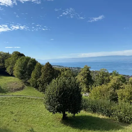Large Overlooking Geneva Лугрин